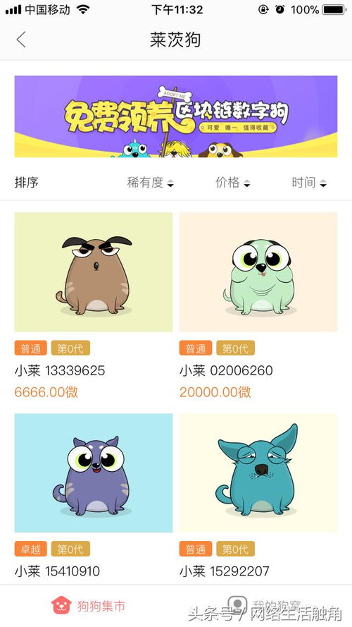 软件先行，硬件奠基 我的区块链产品参与策略